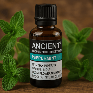 Peppermint Essential Oil 50ml - SHAMTAM.COM