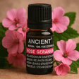Rose Geranium Essential Oil 10 ml - SHAMTAM.COM