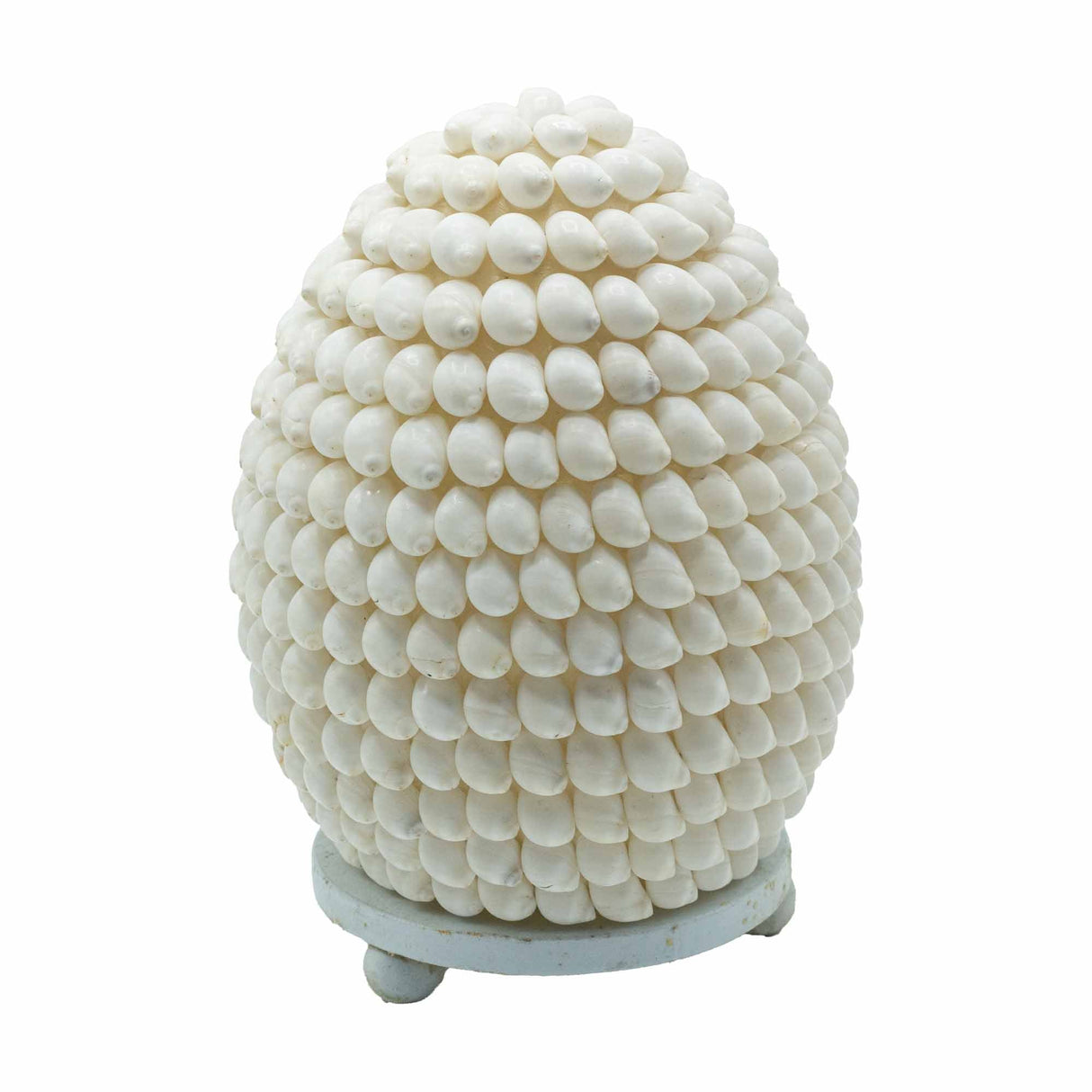 Boho Sea Shell Lamp - Buting Shell Oval - 15cm - SHAMTAM.COM