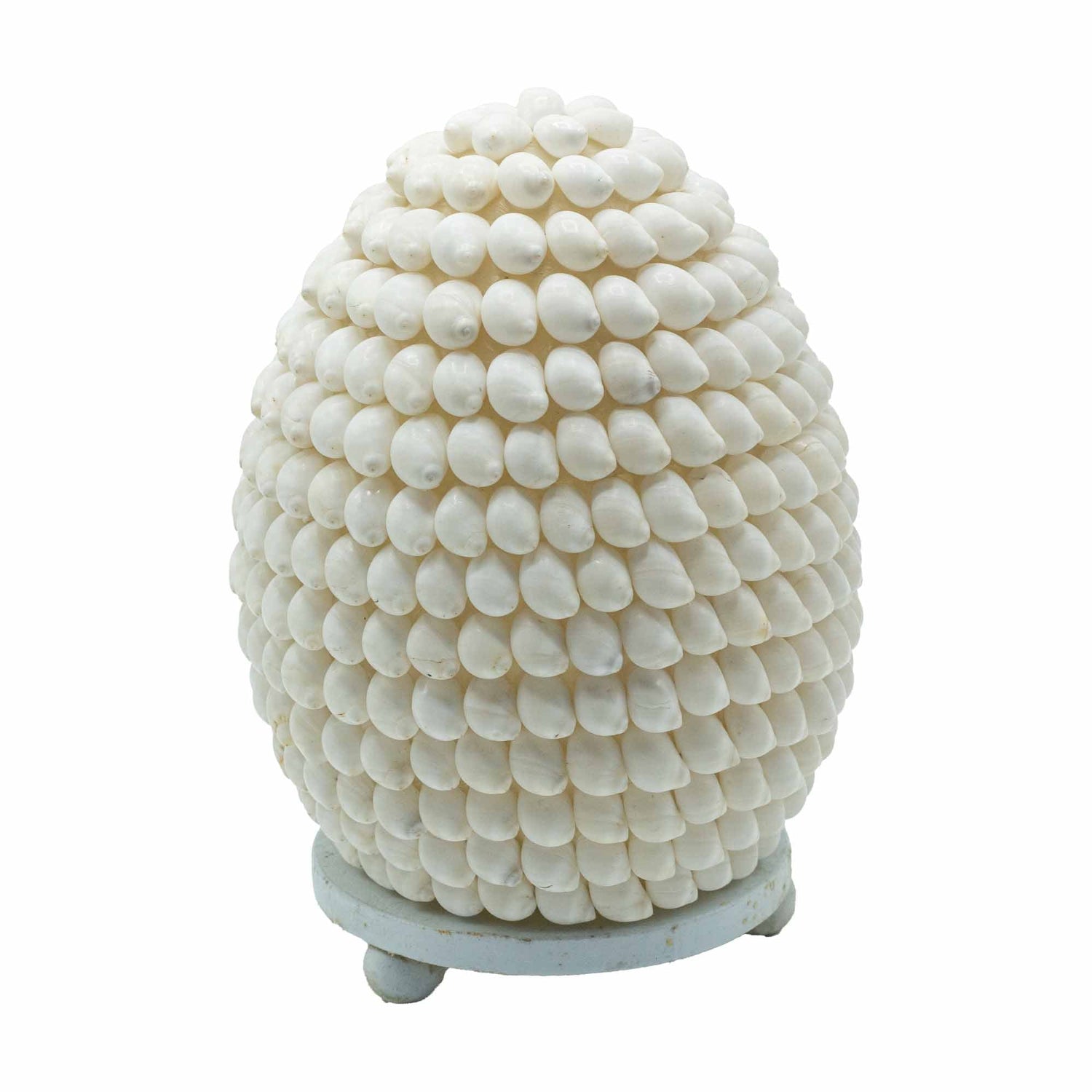 Boho Sea Shell Lamp - Buting Shell Oval - 15cm - SHAMTAM.COM