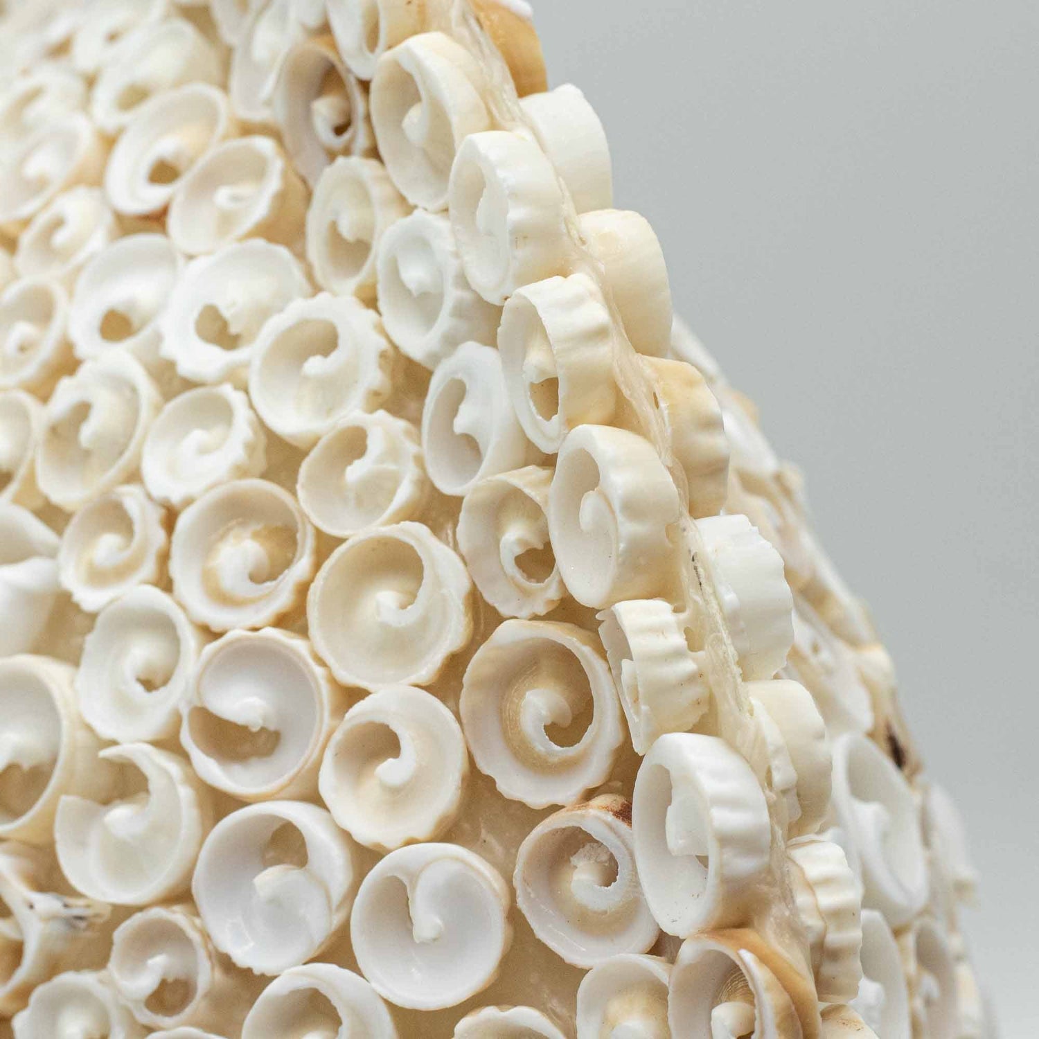 Boho Sea Shell Lamp - Cut Art Shell Large Round - 30cm - SHAMTAM.COM