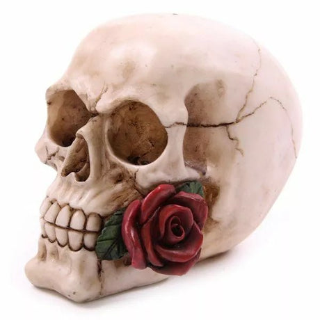 Skull with Rose - SHAMTAM.COM