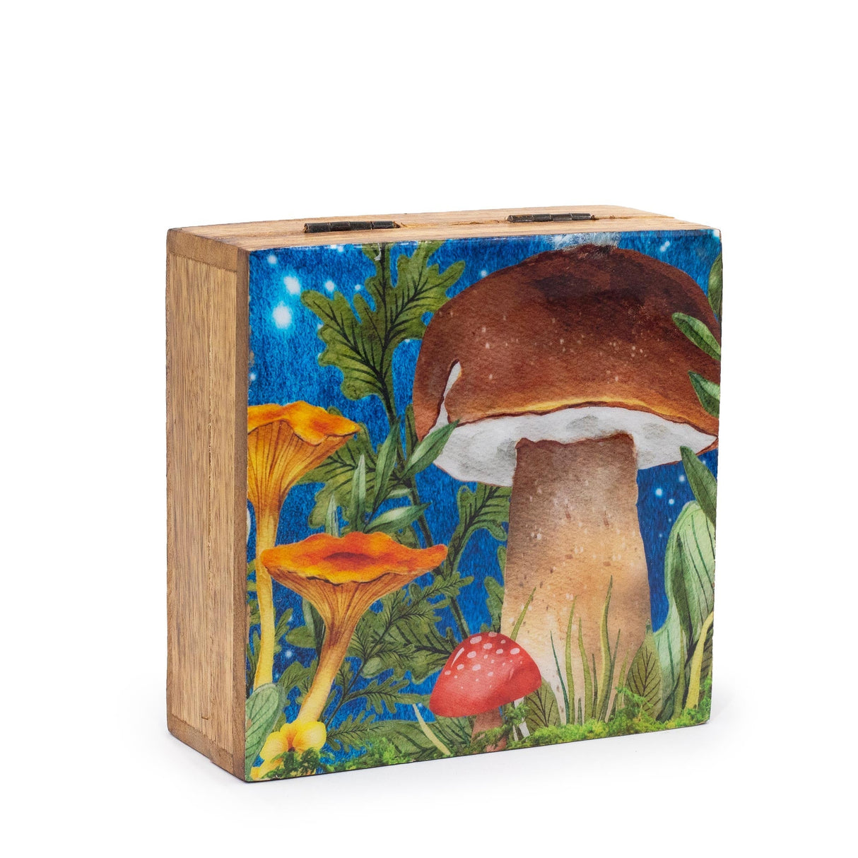 Med Square Box 13.5x13.5x6cm - Mushroom Design Teal - SHAMTAM.COM