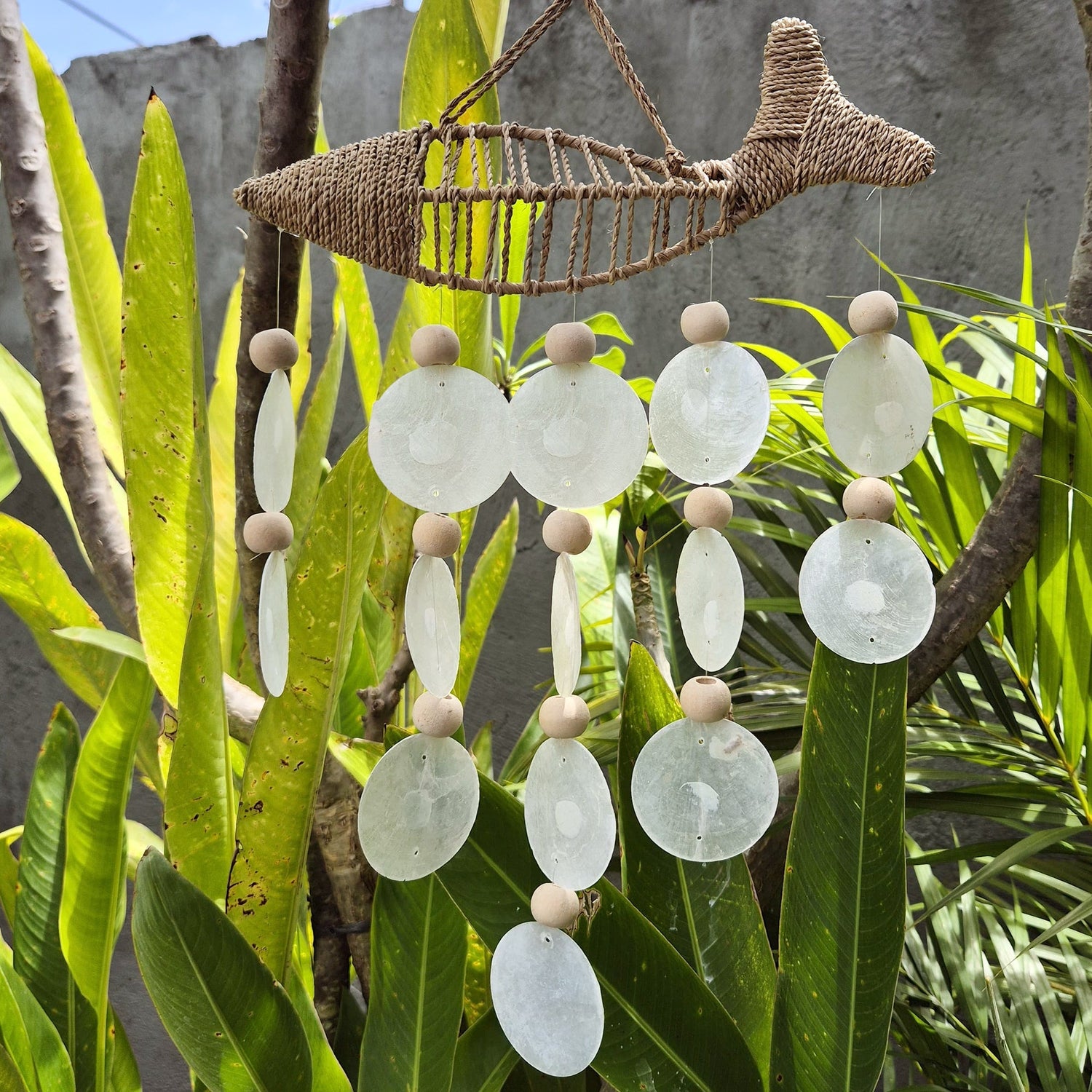 String Fish and Natural Copis Drop - SHAMTAM.COM