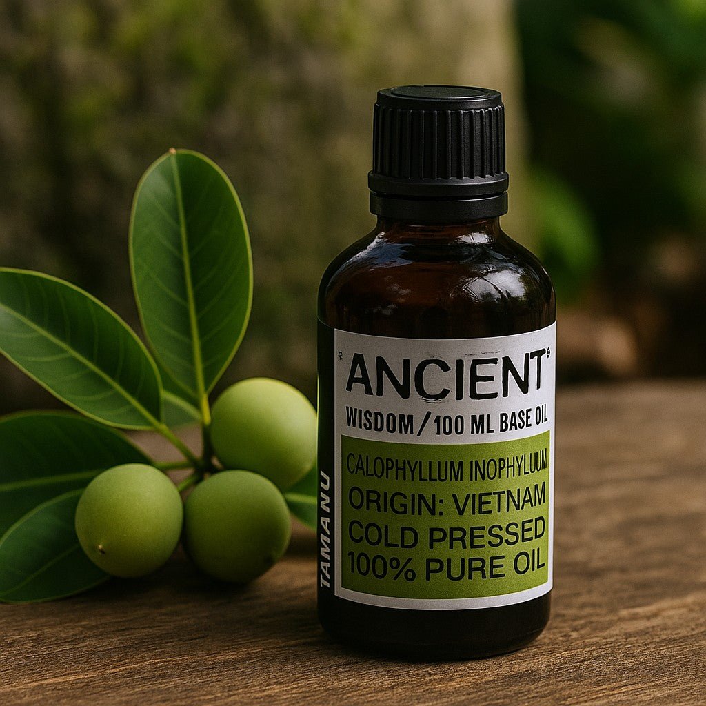 Tamanu Carrier Oil, 100ml - SHAMTAM.COM