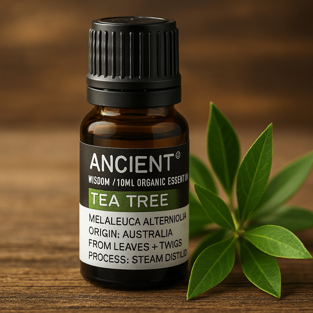 Tea Tree Essential Oil Organic 10ml - SHAMTAM.COM