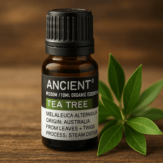 Biologische Tea Tree Essentiële Olie 10ml