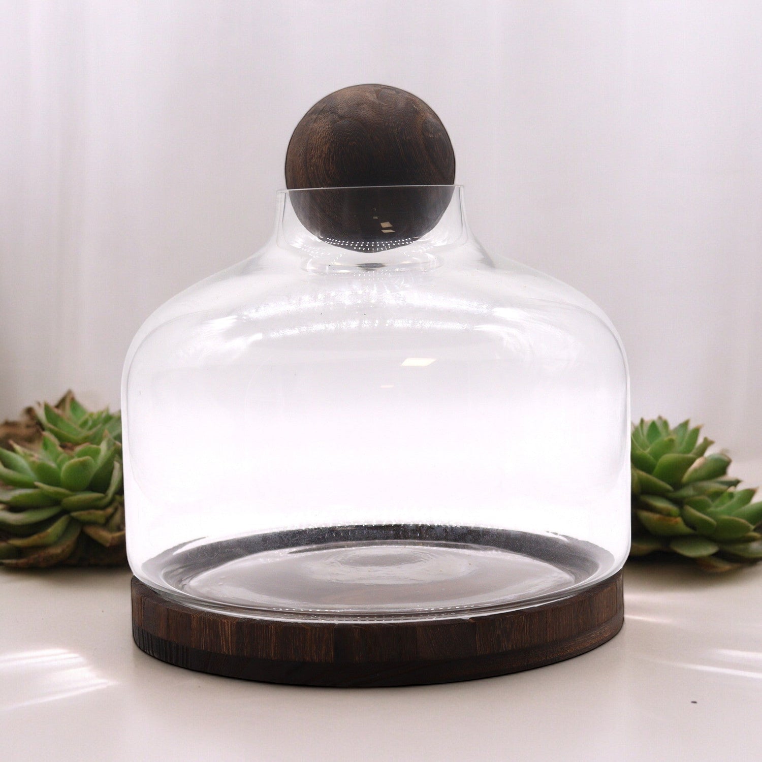 Ex - Large Ball Top Terarium on Dark Tung Wood - SHAMTAM.COM