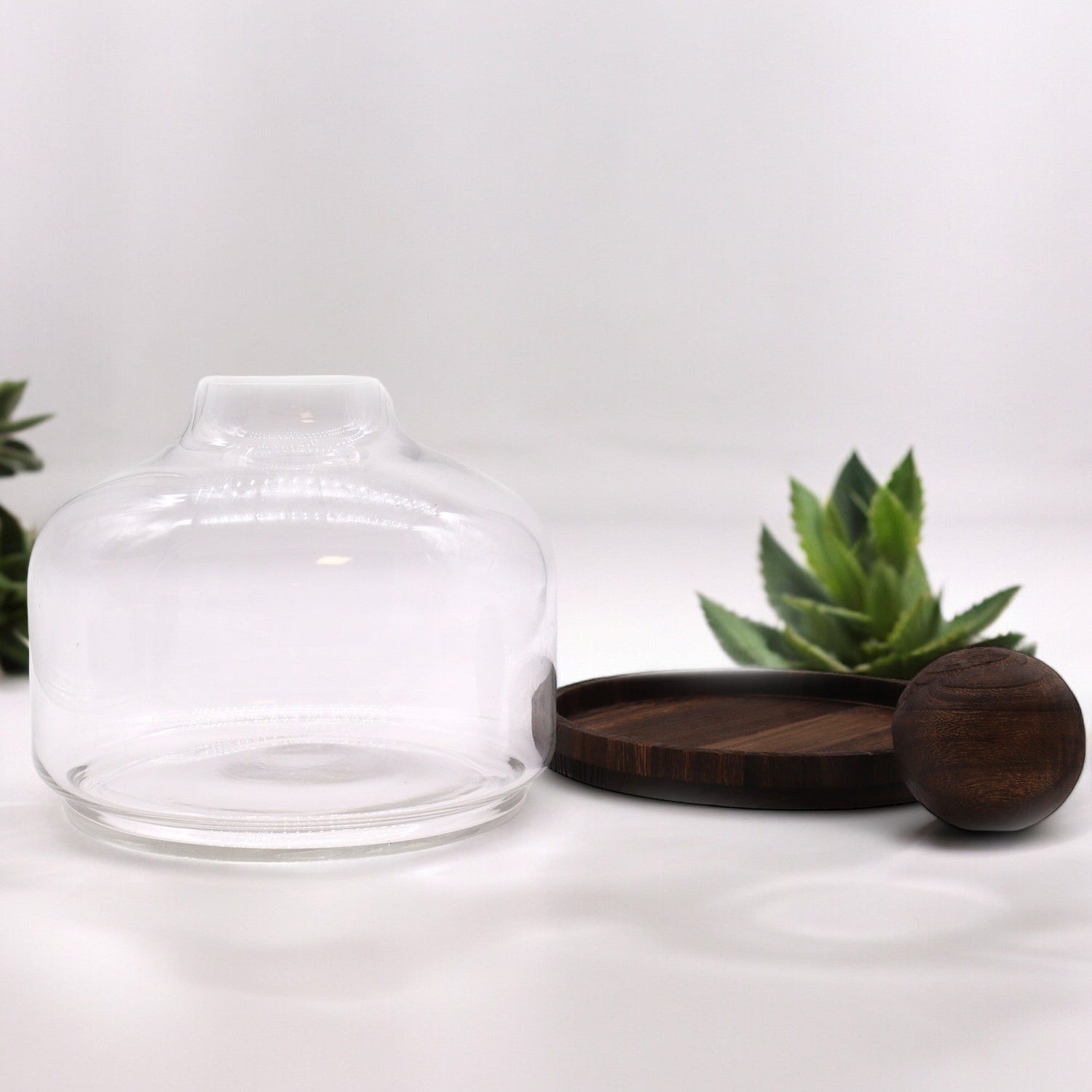 Ex - Large Ball Top Terarium on Dark Tung Wood - SHAMTAM.COM