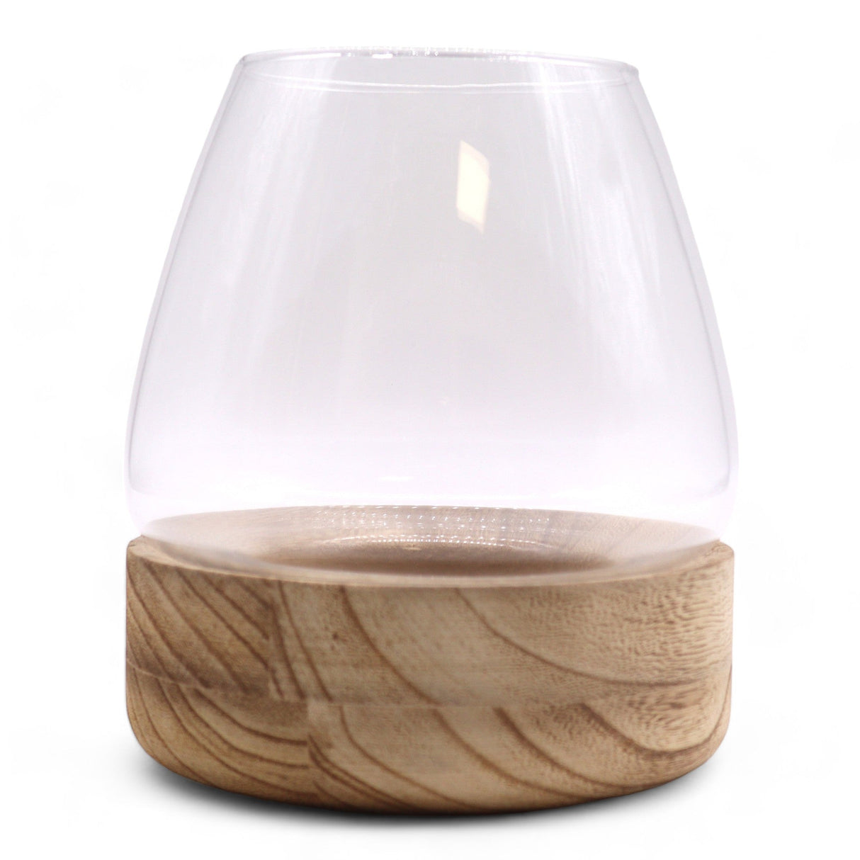 Large Terarium on Natural Tung Wood - SHAMTAM.COM