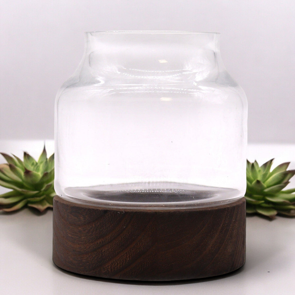 Small Shaped Terarium on Dark Tung Wood - SHAMTAM.COM