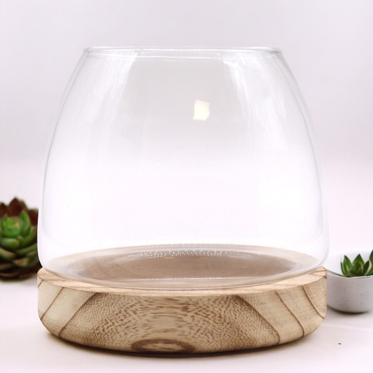 Medium Terarium on Natural Tung Wood - SHAMTAM.COM