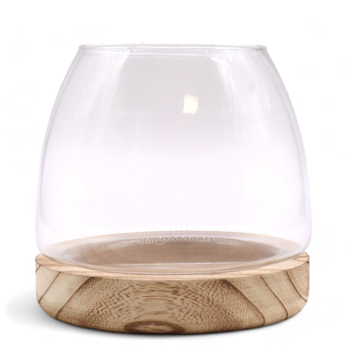 Medium Terarium on Natural Tung Wood - SHAMTAM.COM