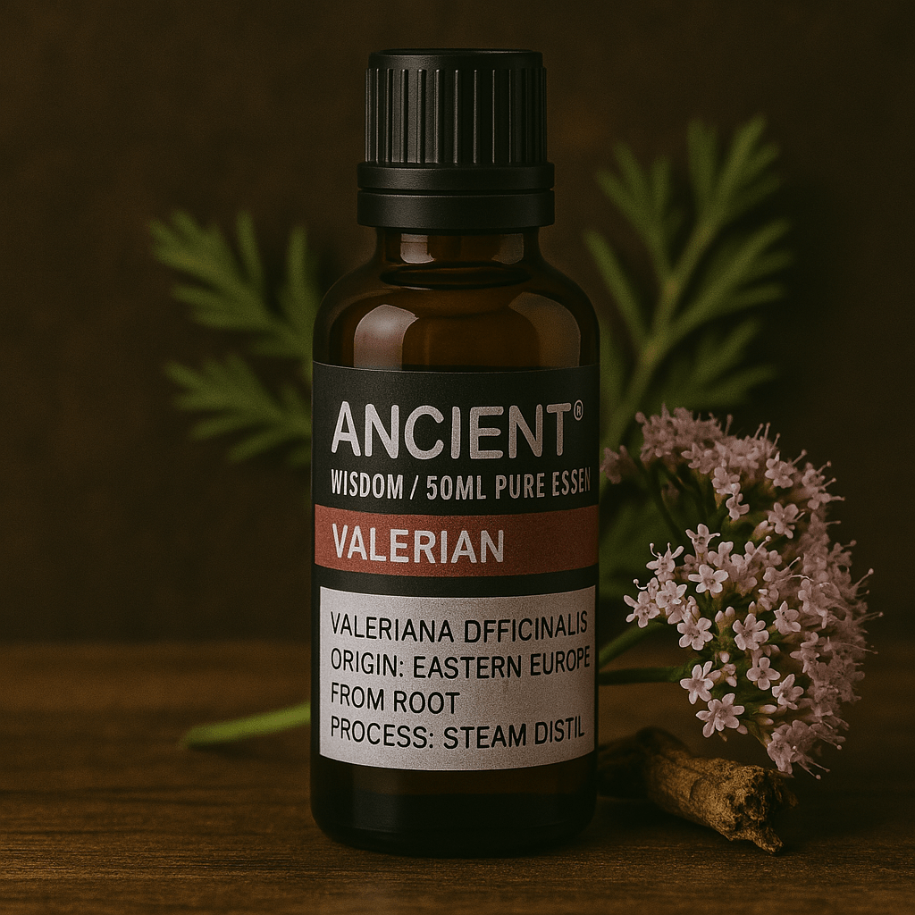 Valerian Essential Oil 50ml - SHAMTAM.COM