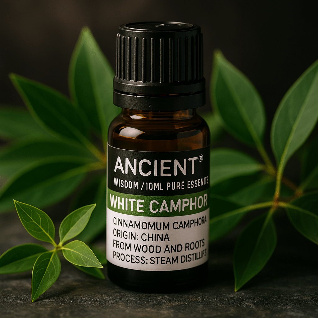 White Camphor Essential Oil 10 ml - SHAMTAM.COM