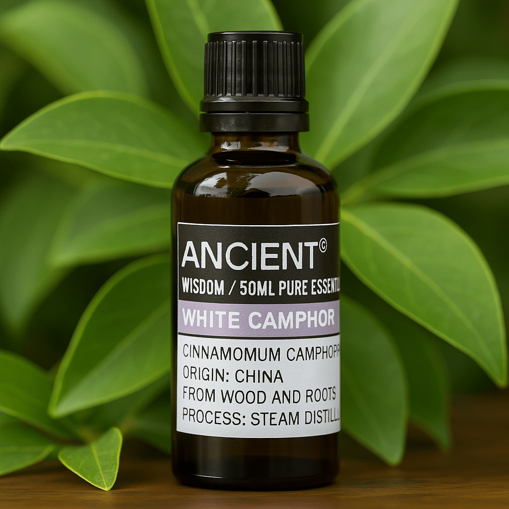 White Camphor Essential Oil 50ml - SHAMTAM.COM