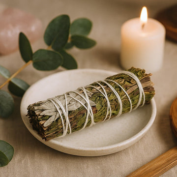 White Sage Smudge Stick With Peppermint 10cm - SHAMTAM.COM