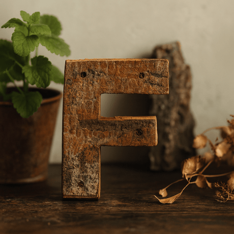 Wooden Letter E Rustic Bark 7 cm - SHAMTAM.COM