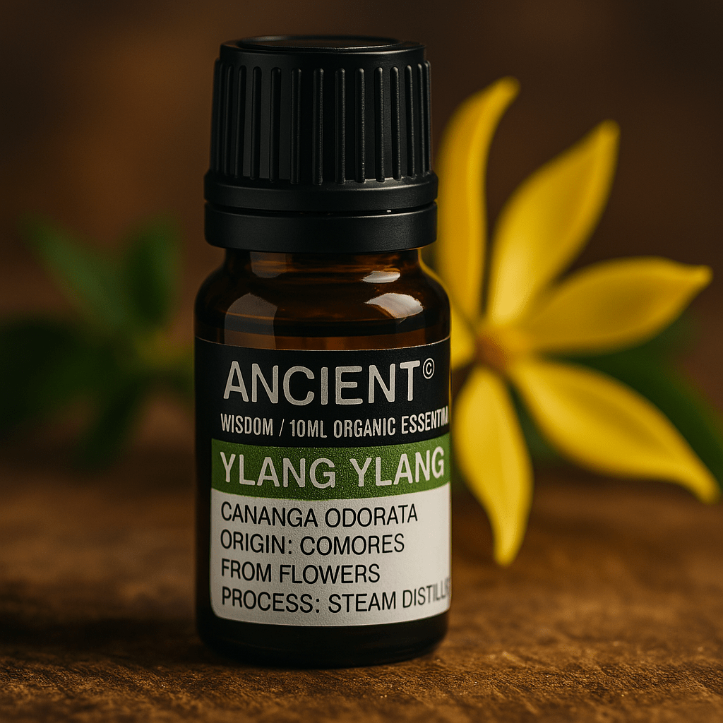Ylang Ylang Essential Oil Organic 10ml - SHAMTAM.COM