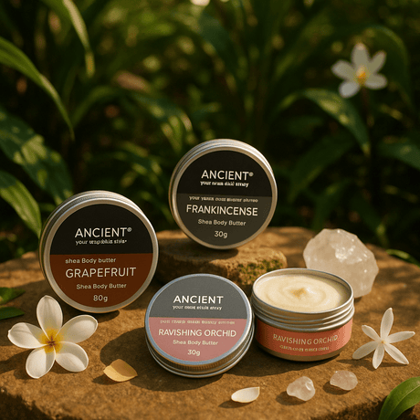 Body Butters - SHAMTAM