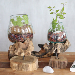 Glass Bowls on Driftwood