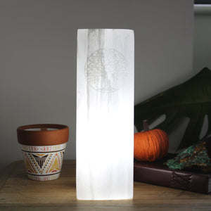 Selenite Lamps