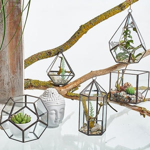 Terrariums