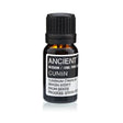 Cumin Seed Essential Oil 10 ml - SHAMTAM.COM