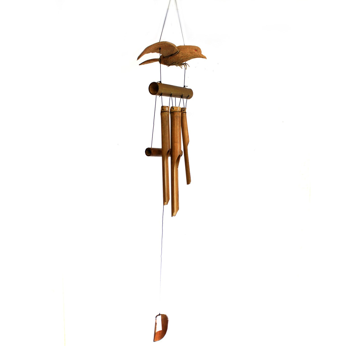Zvono od kokosa Blackbird