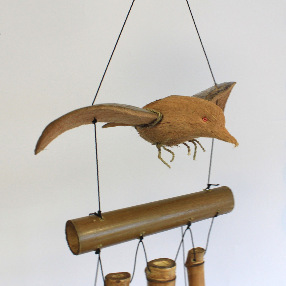 Zvono od kokosa Blackbird