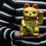 Maneki Neko, mačak sreće za novac