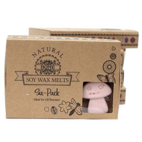 Caja de cera aromática Old Ginger
