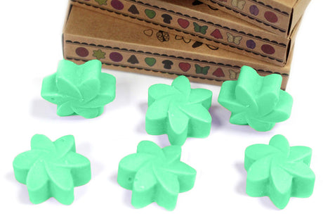 Wax Melts Box – Hidden Garden