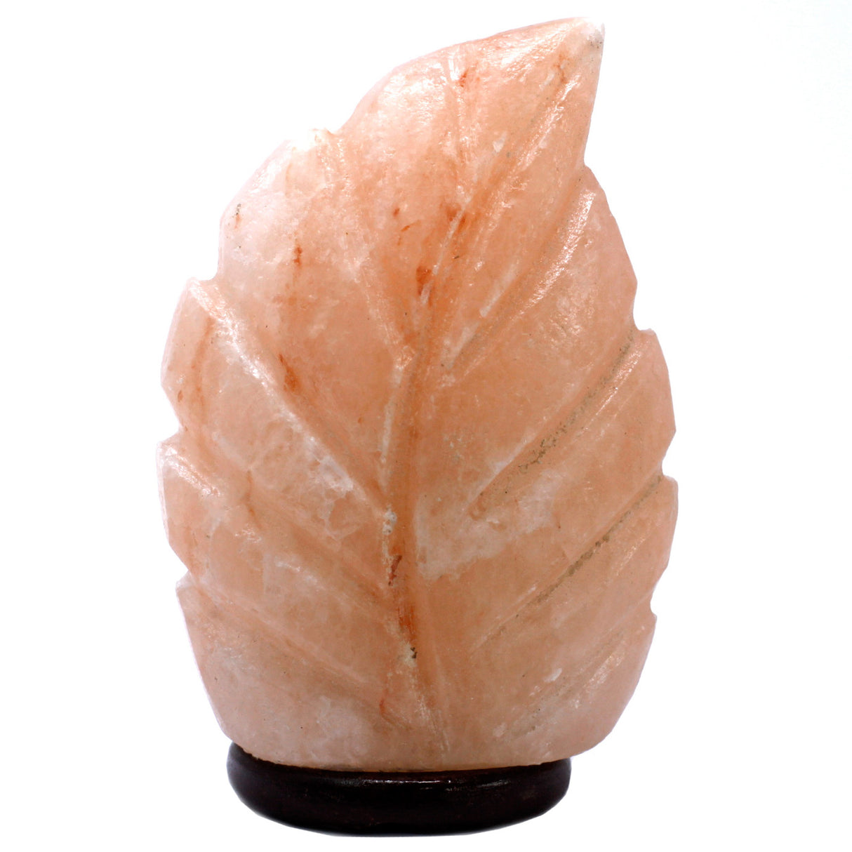 Saltlampe bregne 3x5x7 tommer