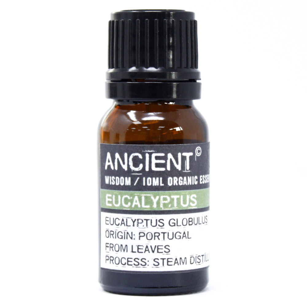 Olejek eteryczny Eukaliptus Globulus Organic 10 ml
