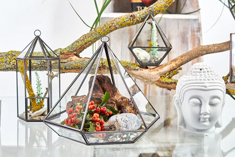 Glazen terrarium Klein Diamantvorm