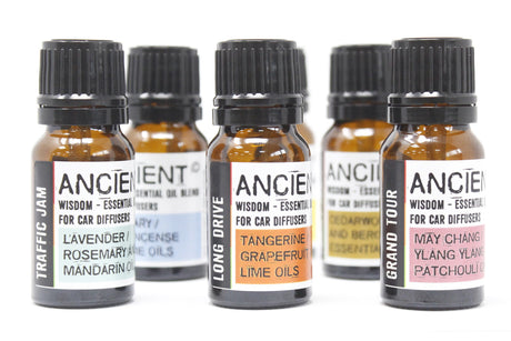 Auto Diffuser Essentiële Olie Mix, Familie Trip 10ml