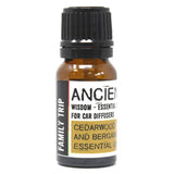 Auto Diffuser Essentiële Olie Mix, Familie Trip 10ml