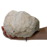 Geode di cristallo di quarzo calcite 15-18 cm