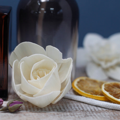 Reed Diffuser Flowers Sola Wood Lilies 12 Pack