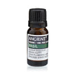 Basil Essential Oil 10 ml - SHAMTAM.COM