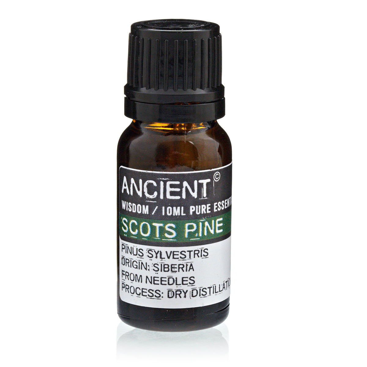 Scots Pine Essential Oil Pine Sylvestris 10 ml - SHAMTAM.COM