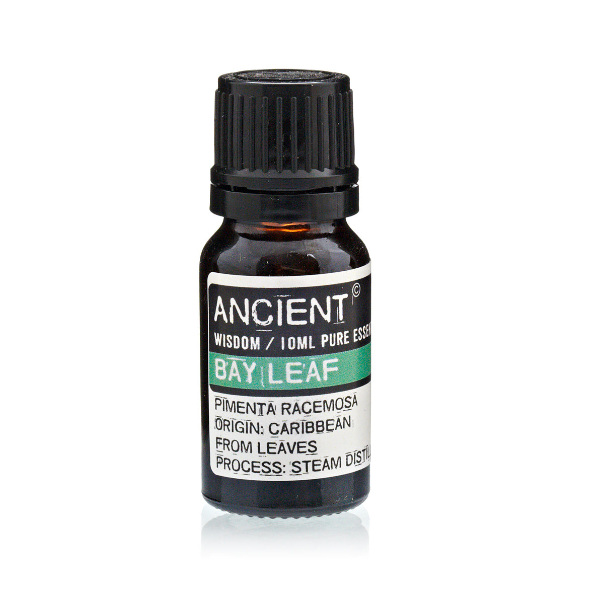 Bay Leaf Essential Oil 10 ml - SHAMTAM.COM