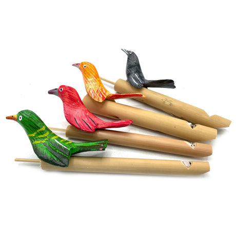 Vogelfluit Enkel Stuk Willekeurige Kleur