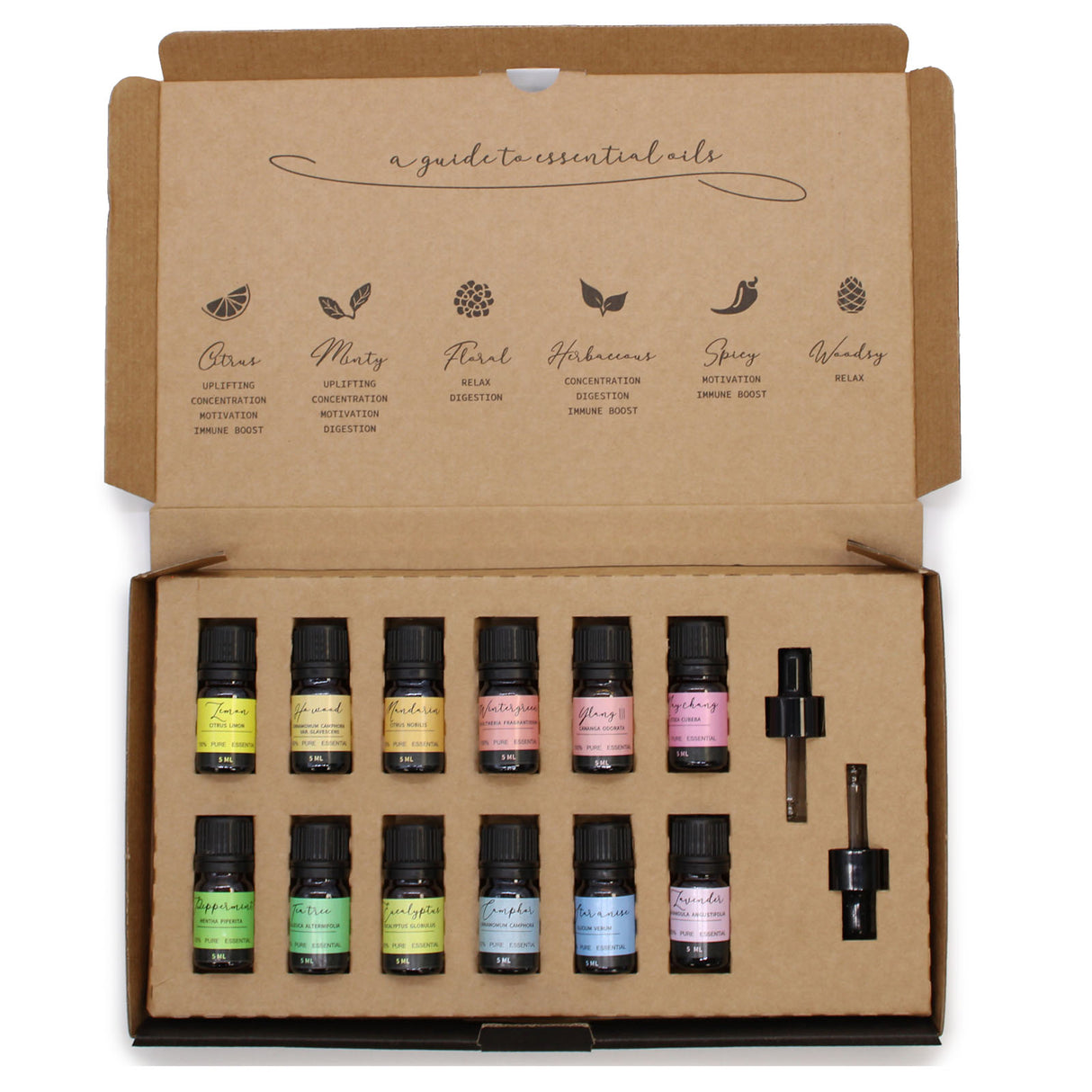 Sada esenciálních olejů aromaterapie 12 olejů po 5 ml