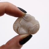 Grey Agate Tumbled Stones Medium Botswana 12 Pieces