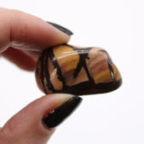 Nguni Jasper Tumbled Stones Medium African 12 Pieces