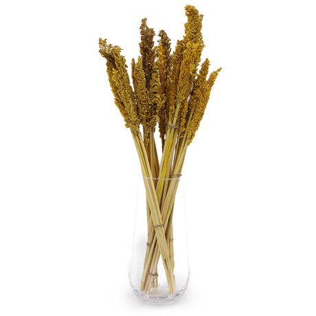Dried Cantal Grass Bunch Amber Set of 6