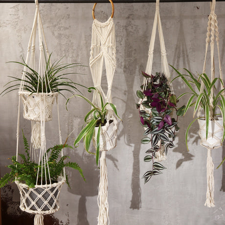 Makramee kasvien ripustaja – pitkä rottinkisilmukka