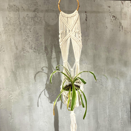 Makramee kasvien ripustaja – pitkä rottinkisilmukka
